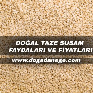 doğal taze susam faydaları ve fiyatları 2024