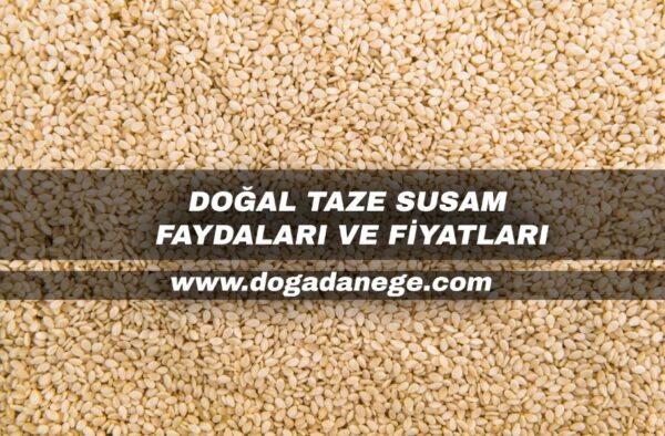 doğal taze susam faydaları ve fiyatları 2024
